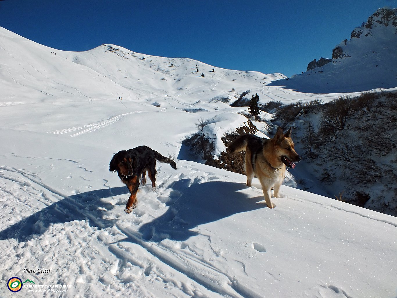36 verso il Passo di Campelli (1892 m.).JPG